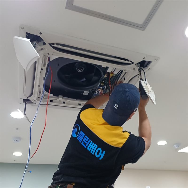 숙련된 자격 기사